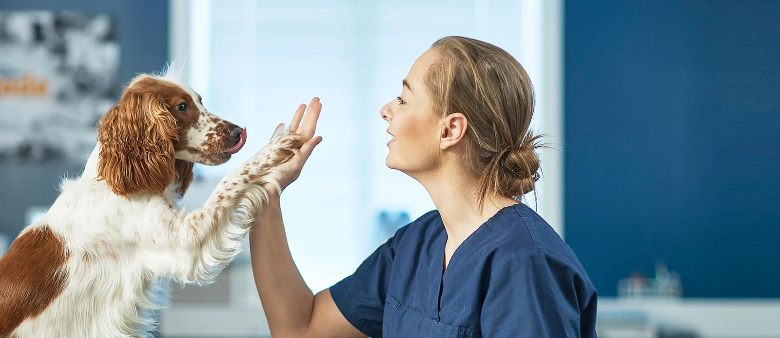 Evidensia Strømmen Dyreklinikk