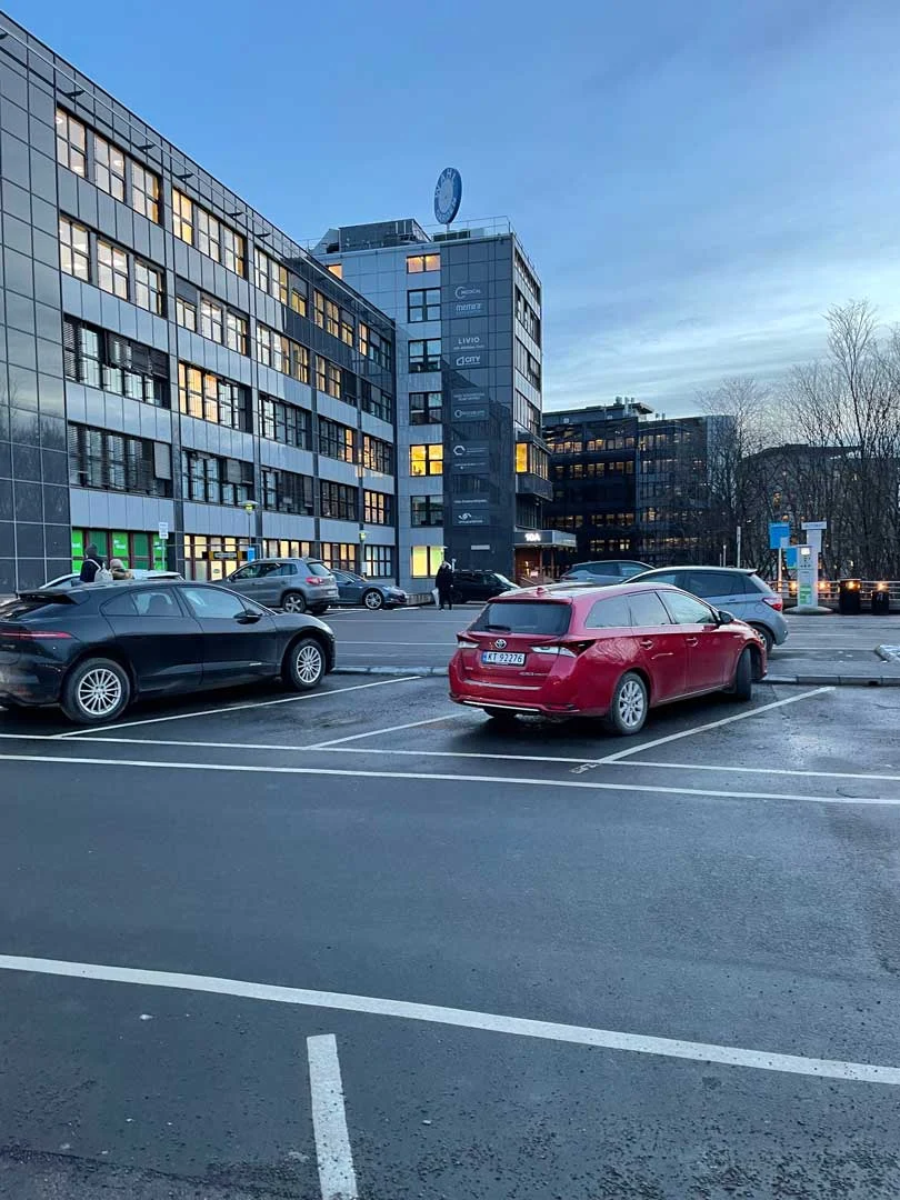 Frydenlund Optimal Akupunktur