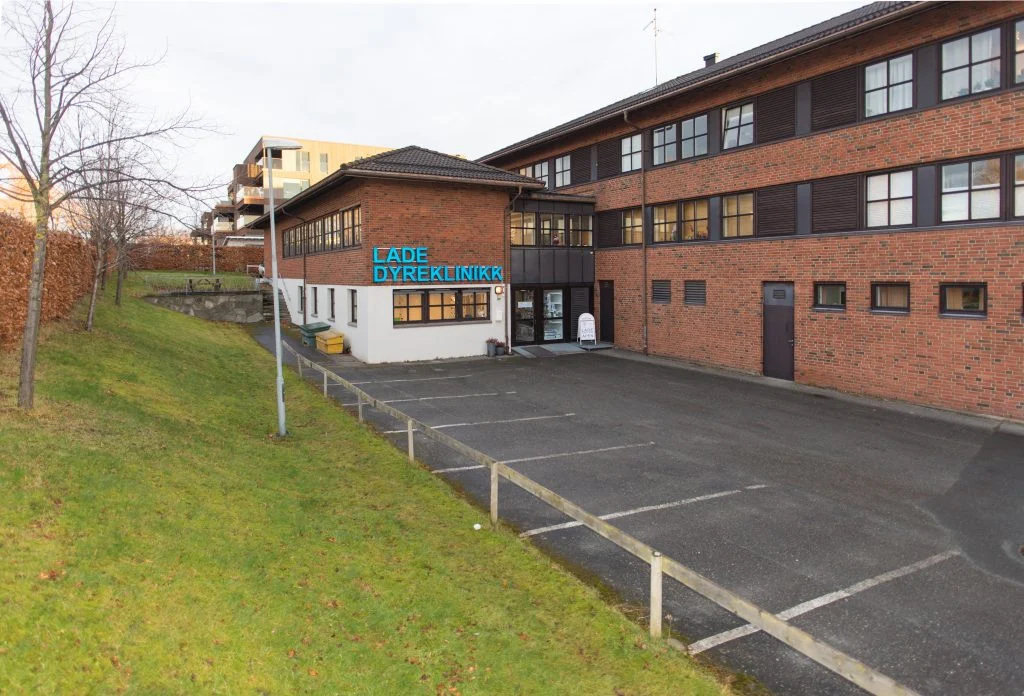 Lade Dyreklinikk