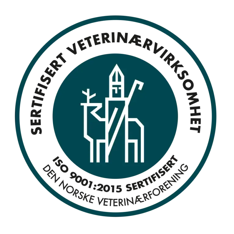 A-Vet Smådyrklinikk – bilde 1