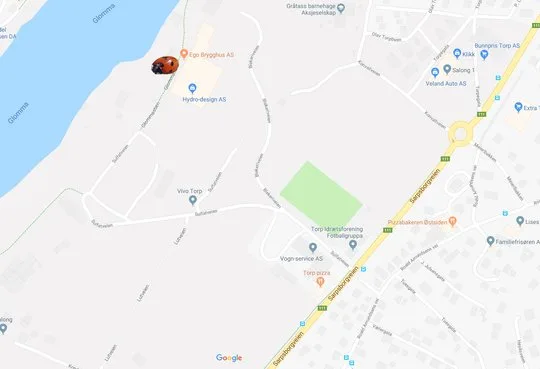 Alie Holden – bilde 2