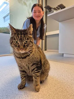 Bergen Katteklinikk – bilde 1