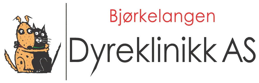 Bjørkelangen Dyreklinikk