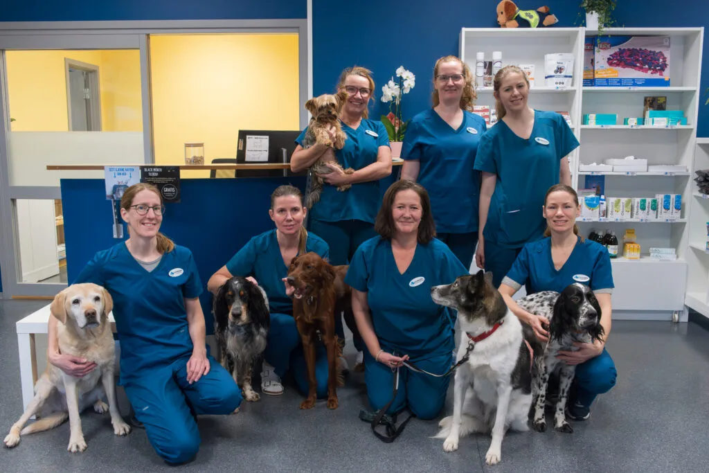 Buskerud Veterinærsenter – bilde 1