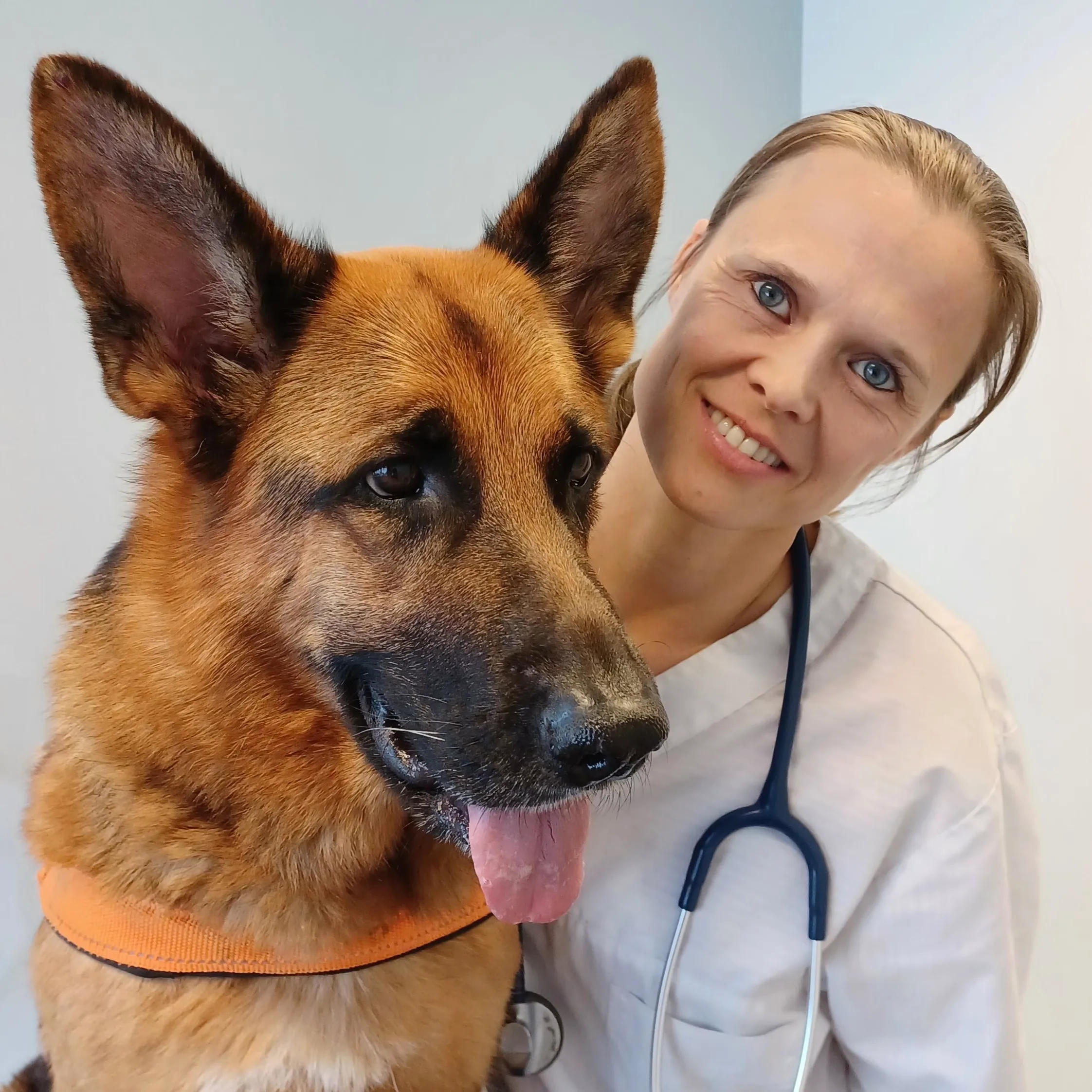 Bygdøy Smådyrklinikk – bilde 2