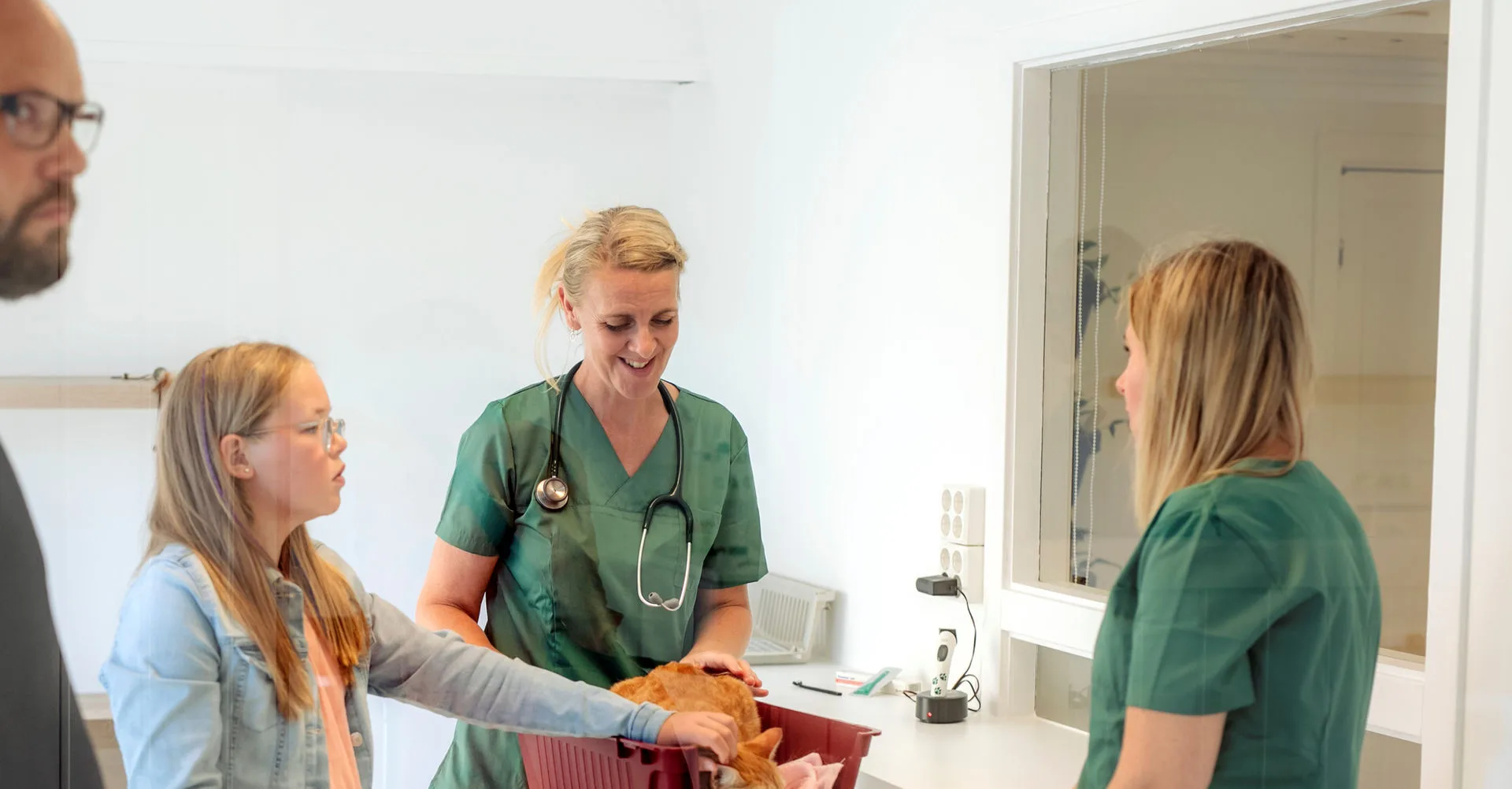 Den Lille Dyreklinikken – bilde 2