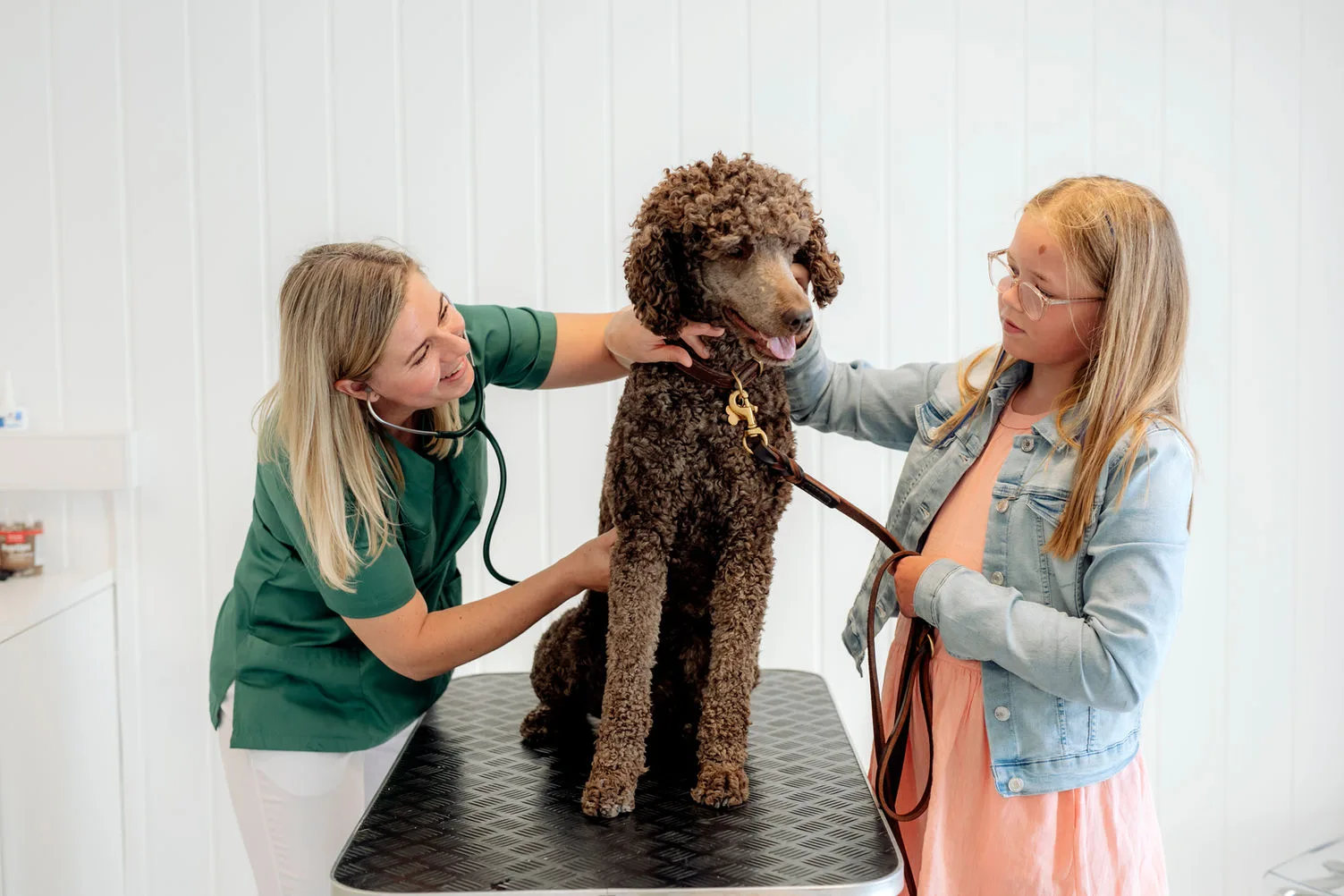 Den Lille Dyreklinikken – bilde 3