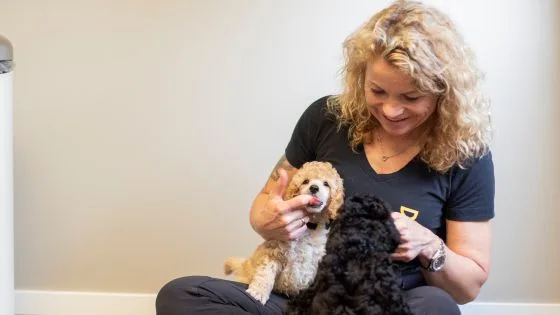 Dyreklinikken Bergen vest – bilde 1