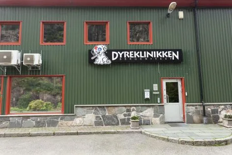 Dyreklinikken Bergen vest – bilde 2