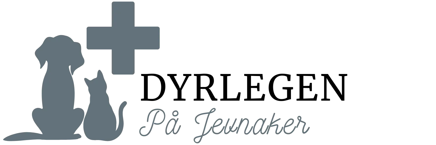 Dyrlegen på Jevnaker