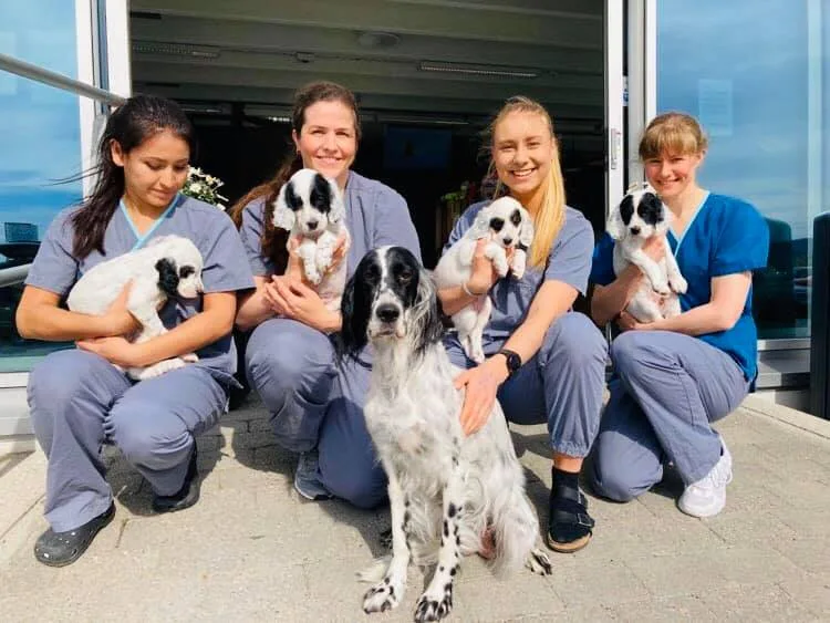 Dyrlegene Klinikk – bilde 3