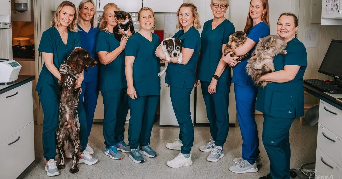 Dyrlegene på Hadeland – bilde 1