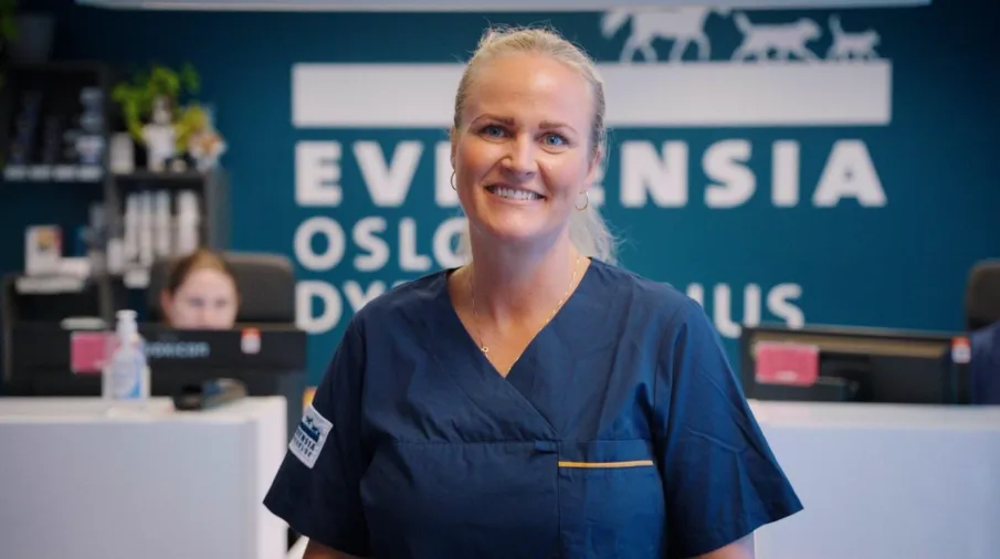 Evidensia Trondheim Dyresykehus