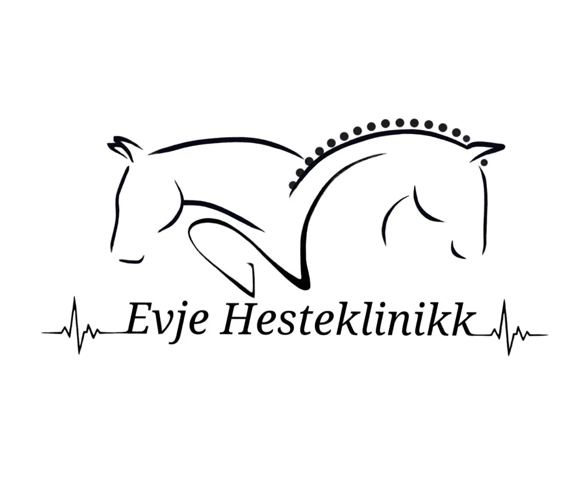 Evje Hesteklinikk