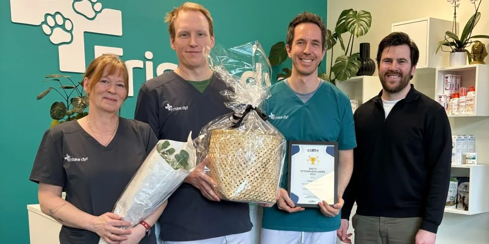 Friske Dyr Helsfyr – bilde 1