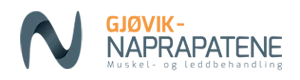 Gjøvik-naprapatene