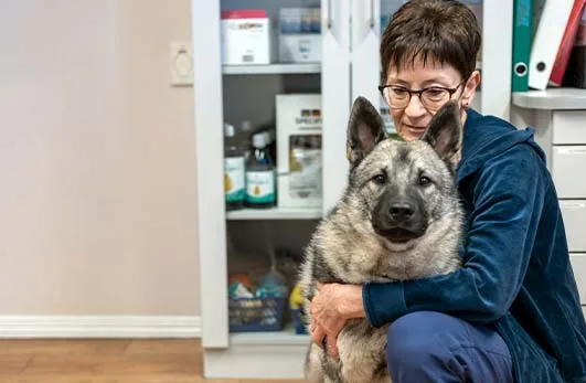 Grue Dyreklinikk – bilde 2