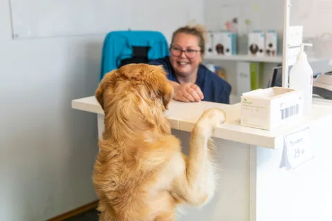 Hamar Dyreklinikk – bilde 1