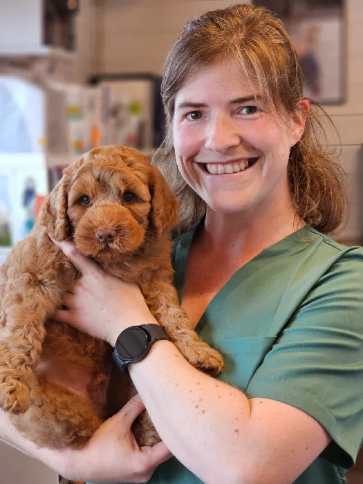 Harestua Dyreklinikk – bilde 1