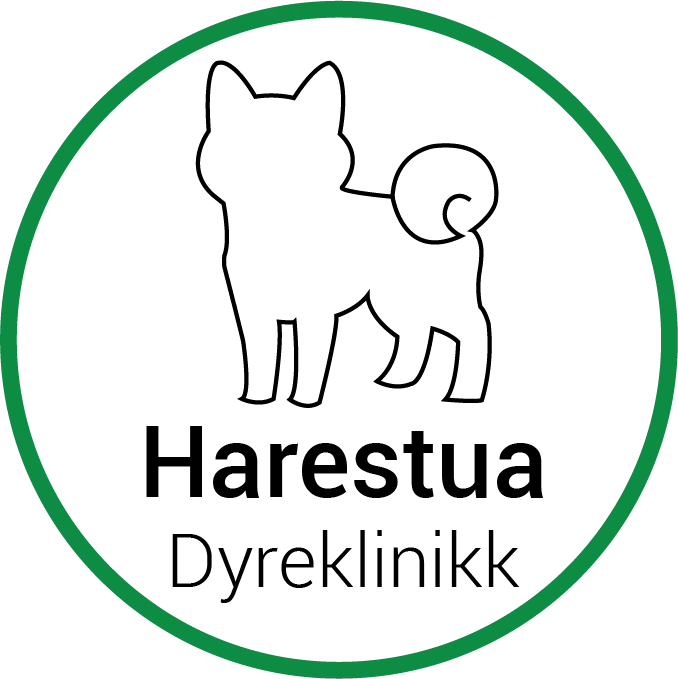 Harestua Dyreklinikk
