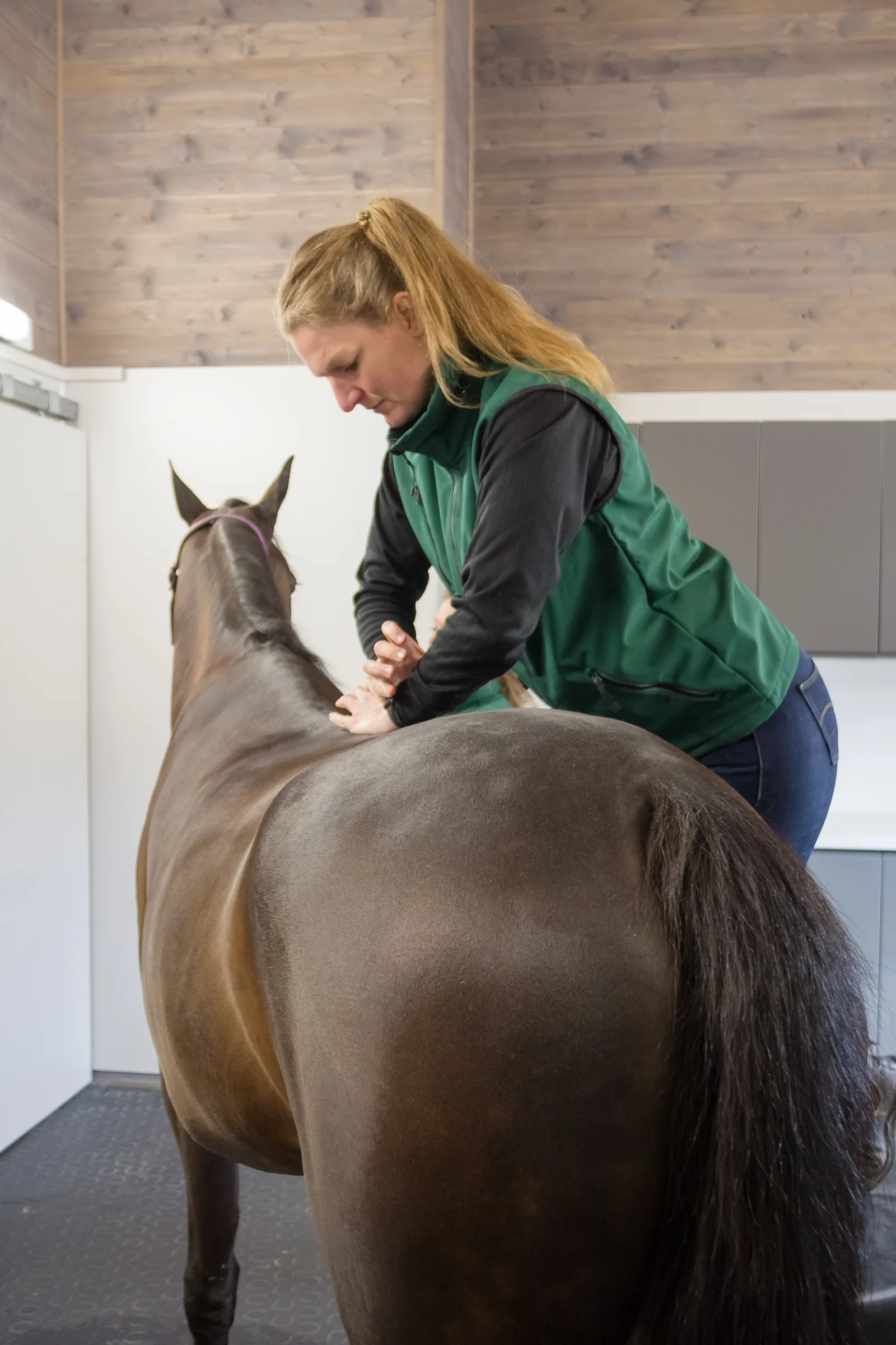 Hesteklinikken Bergen – bilde 2