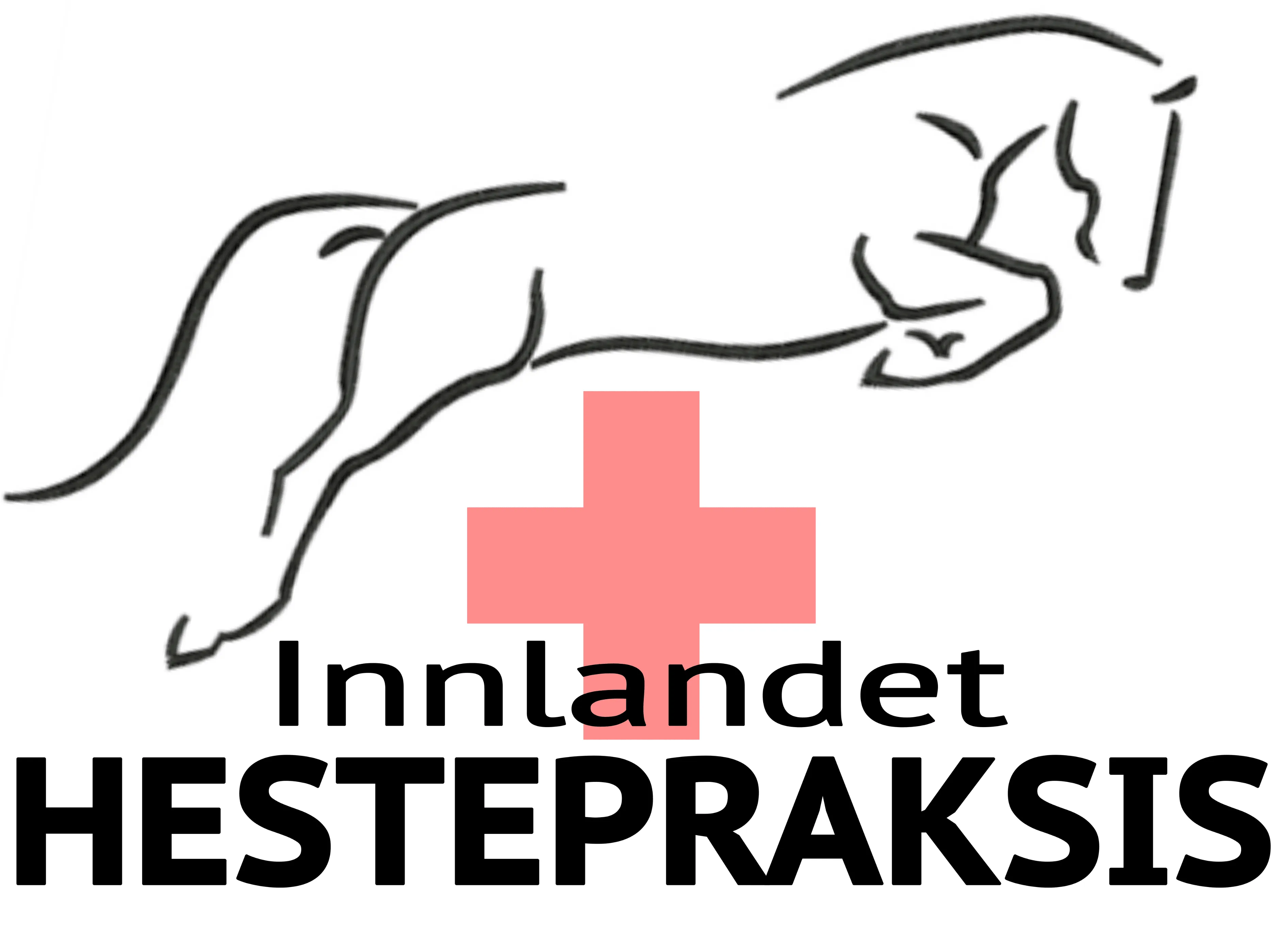 Hestepraksis - Veterinær Silje Rosenberg