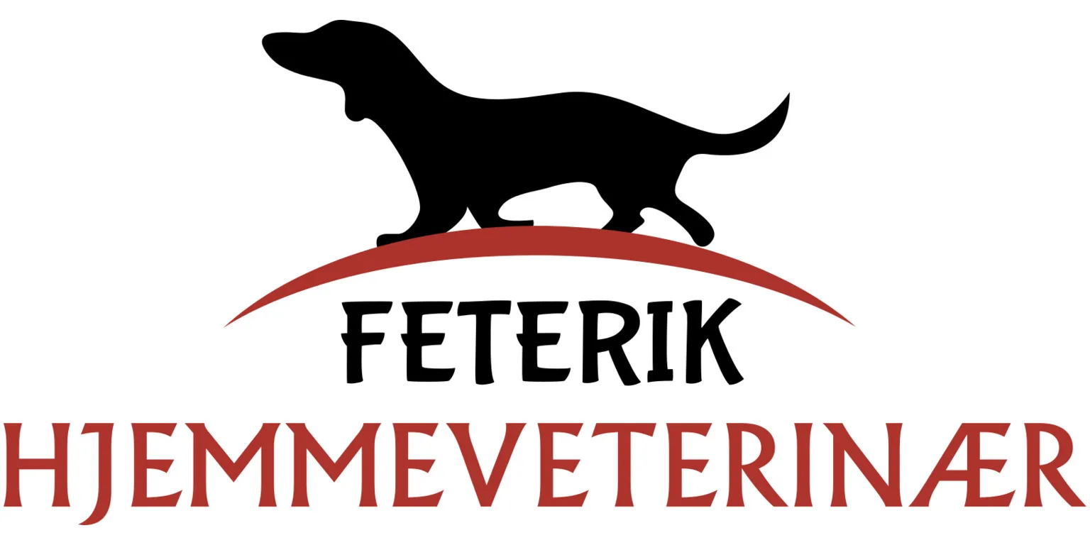 Hjemmevet Stefan Feterik