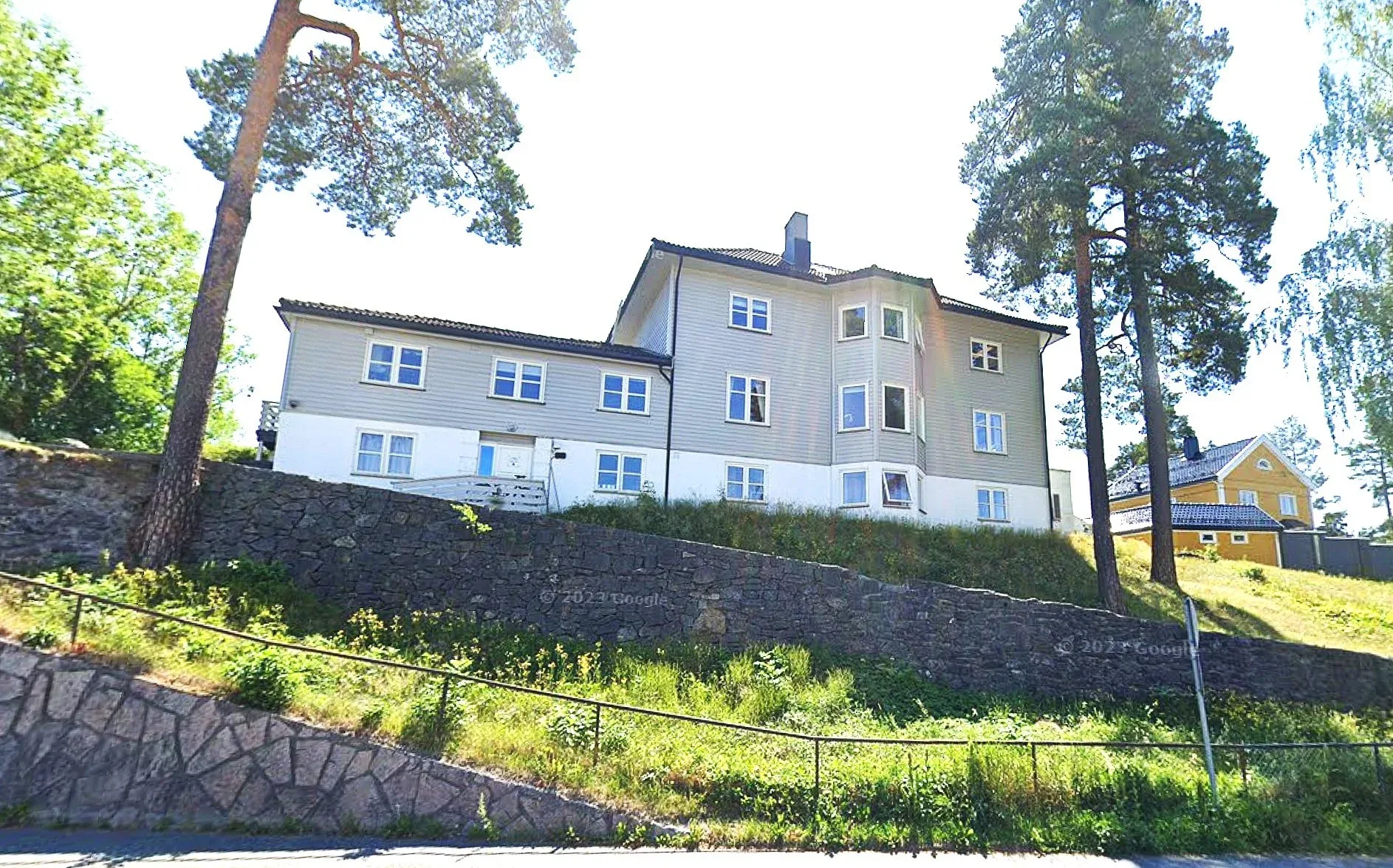 Isadora Pacheco-Rivas – bilde 1