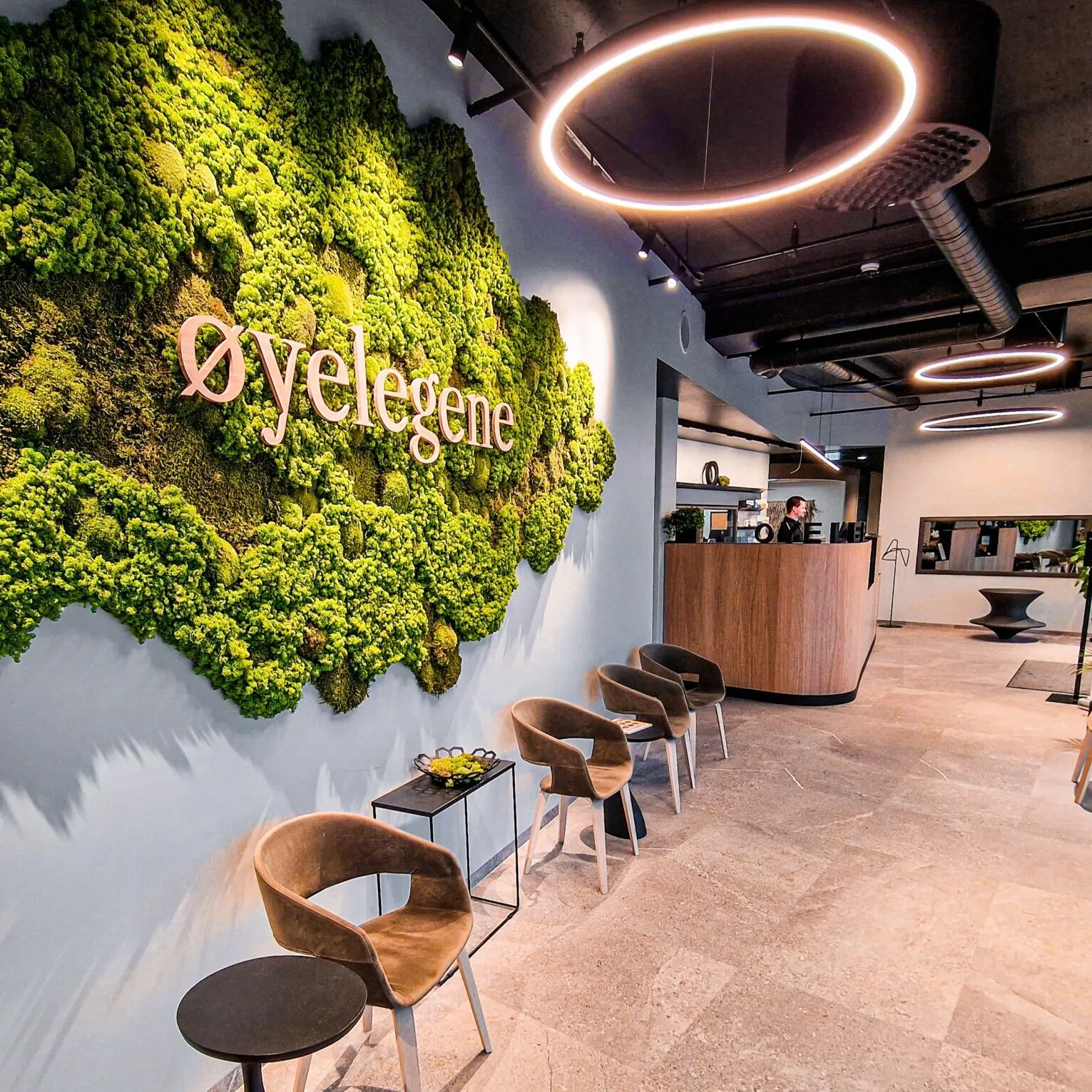 Jan Rougier – bilde 2