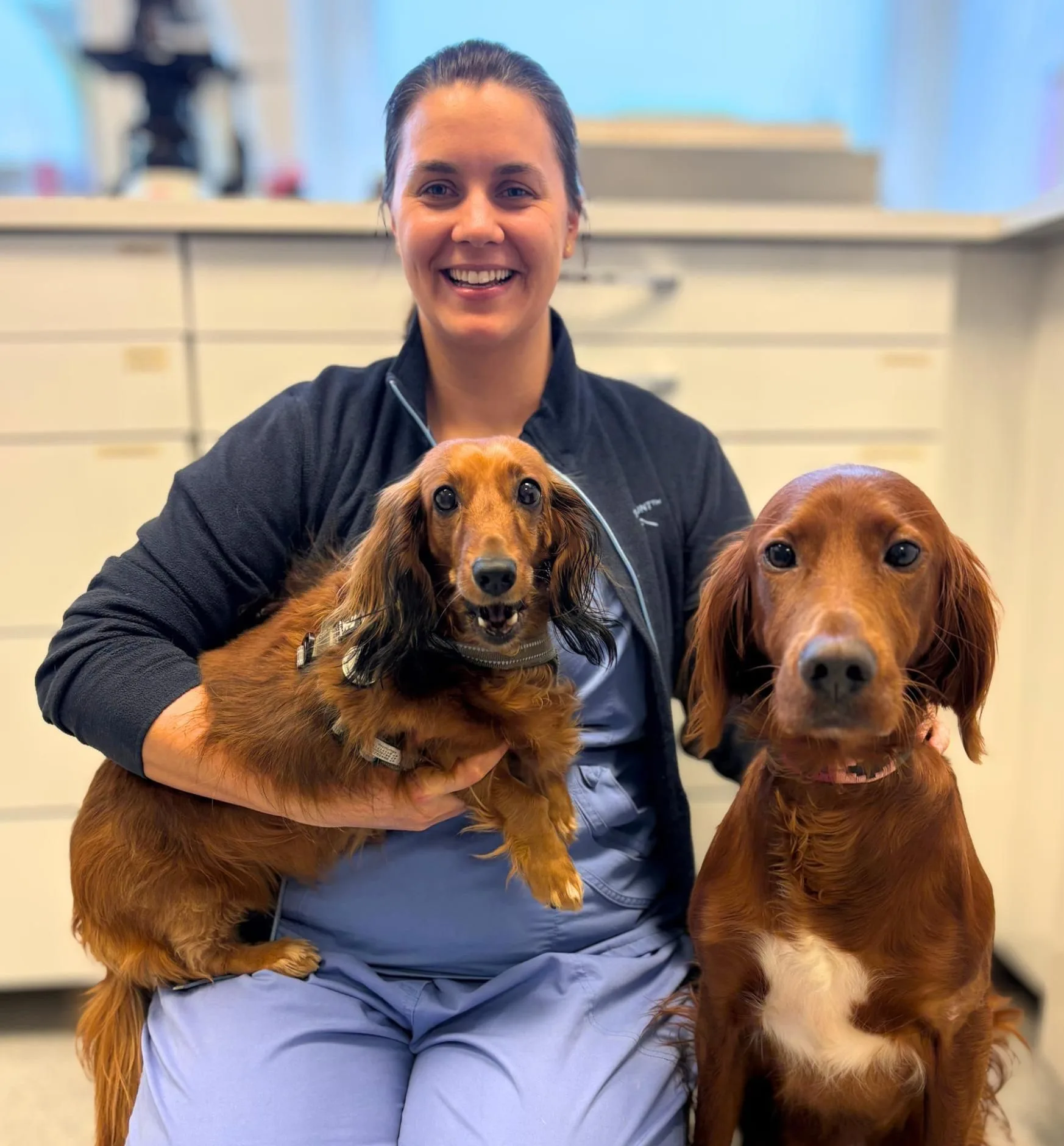 Jar Dyreklinikk – bilde 2