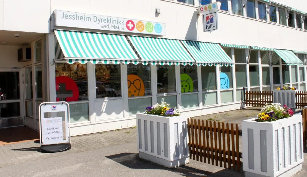 Jessheim Dyreklinikk - Maura – bilde 1