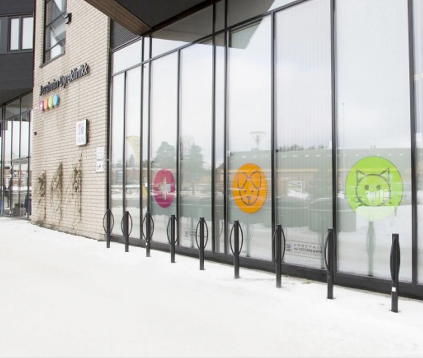 Jessheim Dyreklinikk - Maura – bilde 2