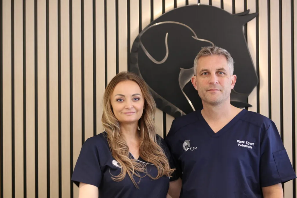 K-Vet – bilde 1
