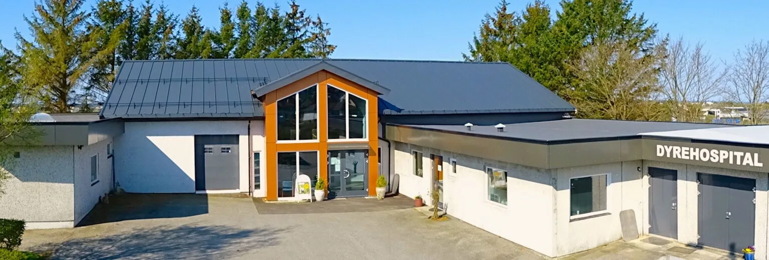 Karmsund Dyrehospital – bilde 3