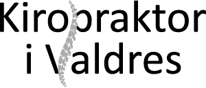 Kiropraktor i Valdres
