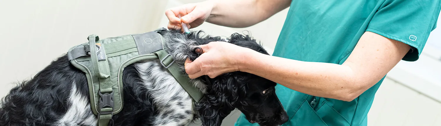 Land Dyreklinikk – bilde 1