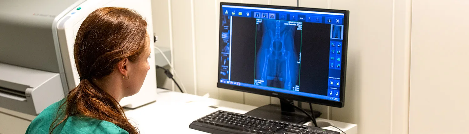 Land Dyreklinikk – bilde 4