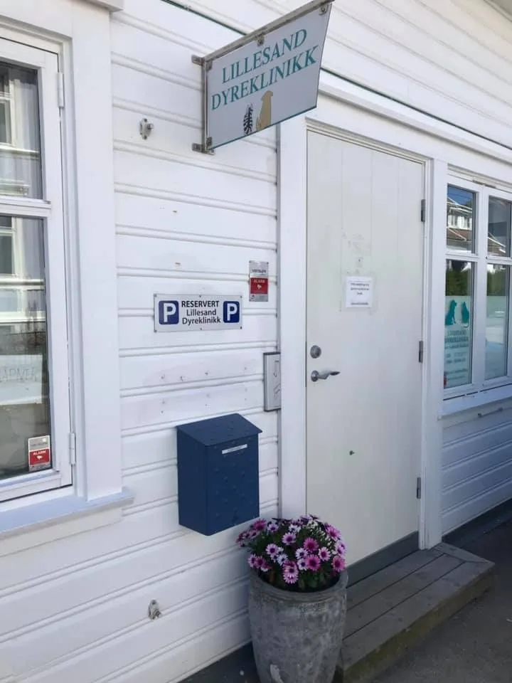 Lillesand Dyreklinikk – bilde 2