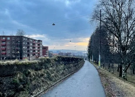 Martin Holmelin – bilde 3