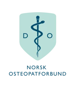 Numedal og Hallingdal Osteopati – bilde 1