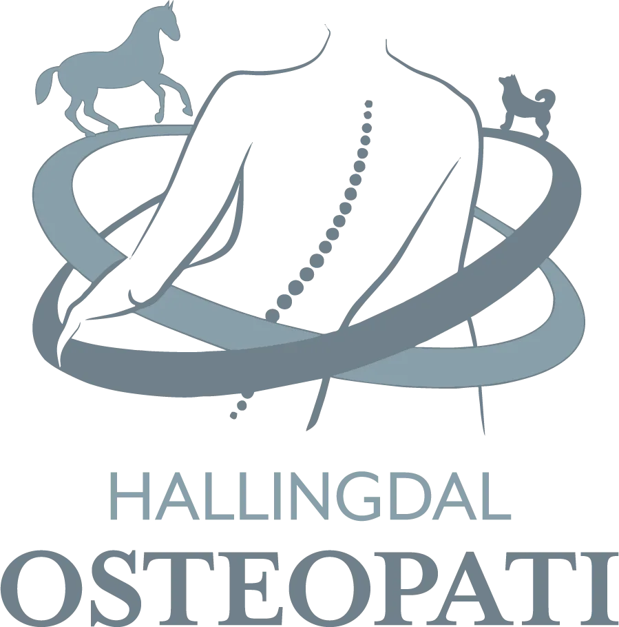 Numedal og Hallingdal Osteopati