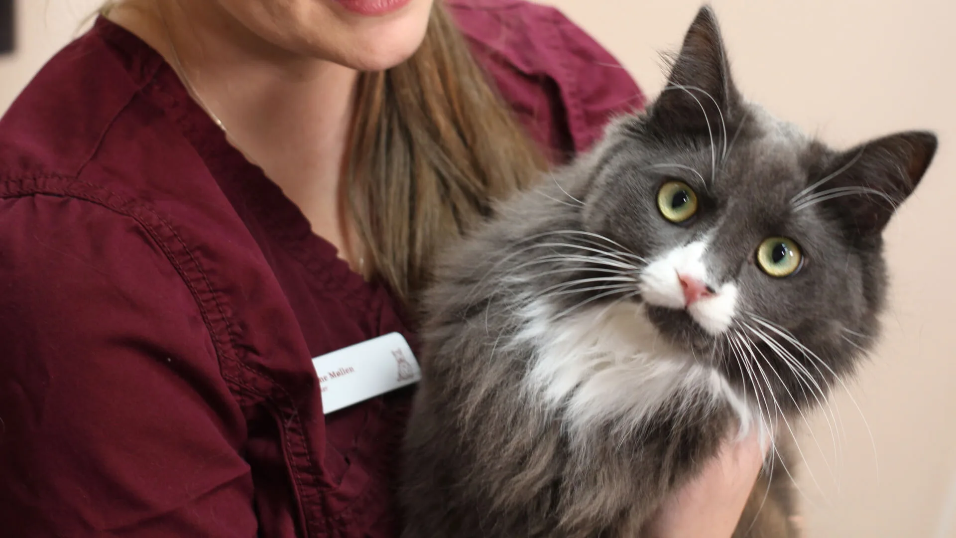 Petrus Veterinærer – bilde 3