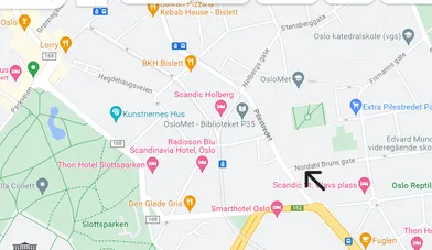 Rune  Skretting – bilde 1