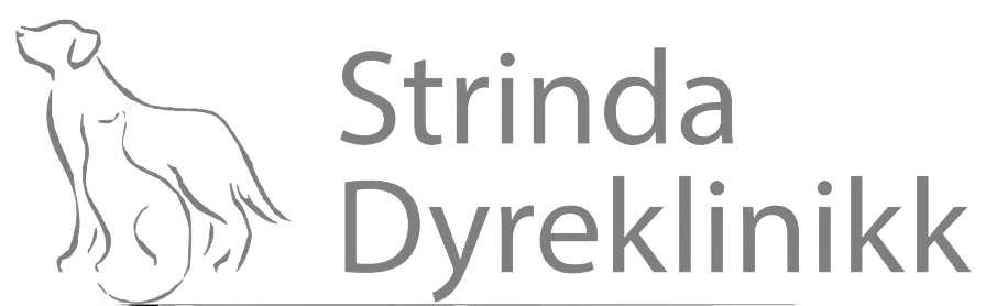 Strinda Dyreklinikk