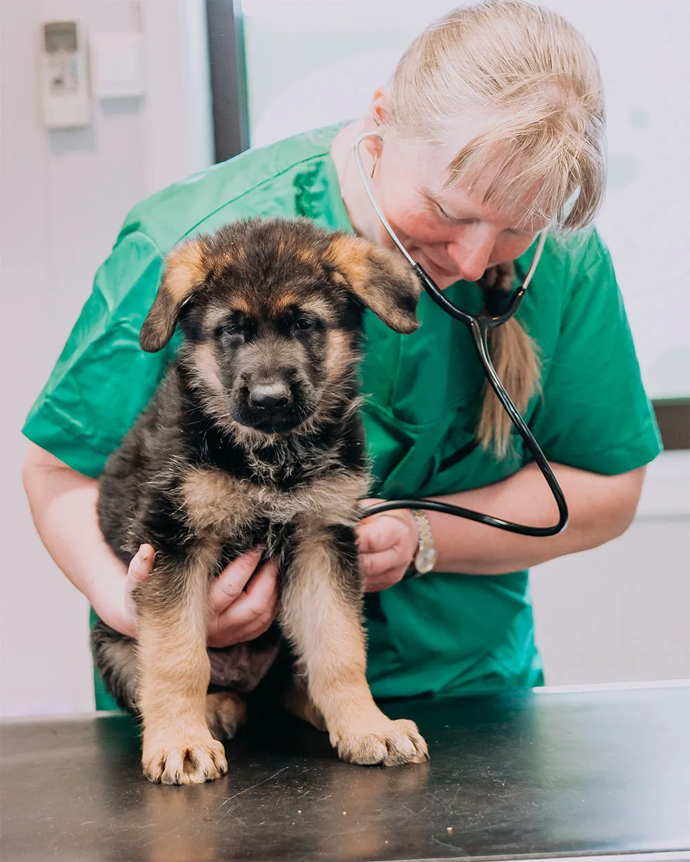 Sunndal Dyreklinikk – bilde 2