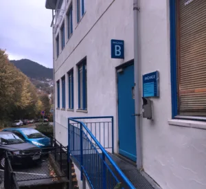 Synnøve Nesse – bilde 2