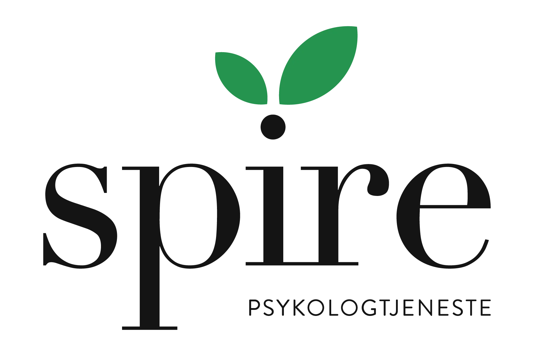 Tor André  Fjellstad