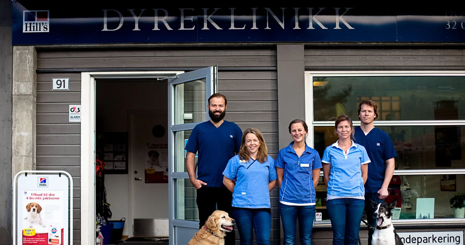 Veterinærvakta i Ål og Hol – bilde 1