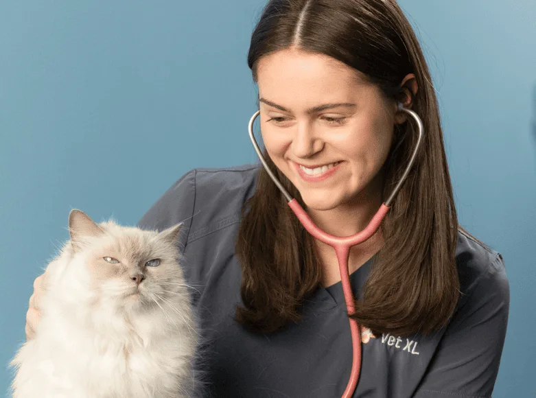 VetXL Vestby – bilde 1