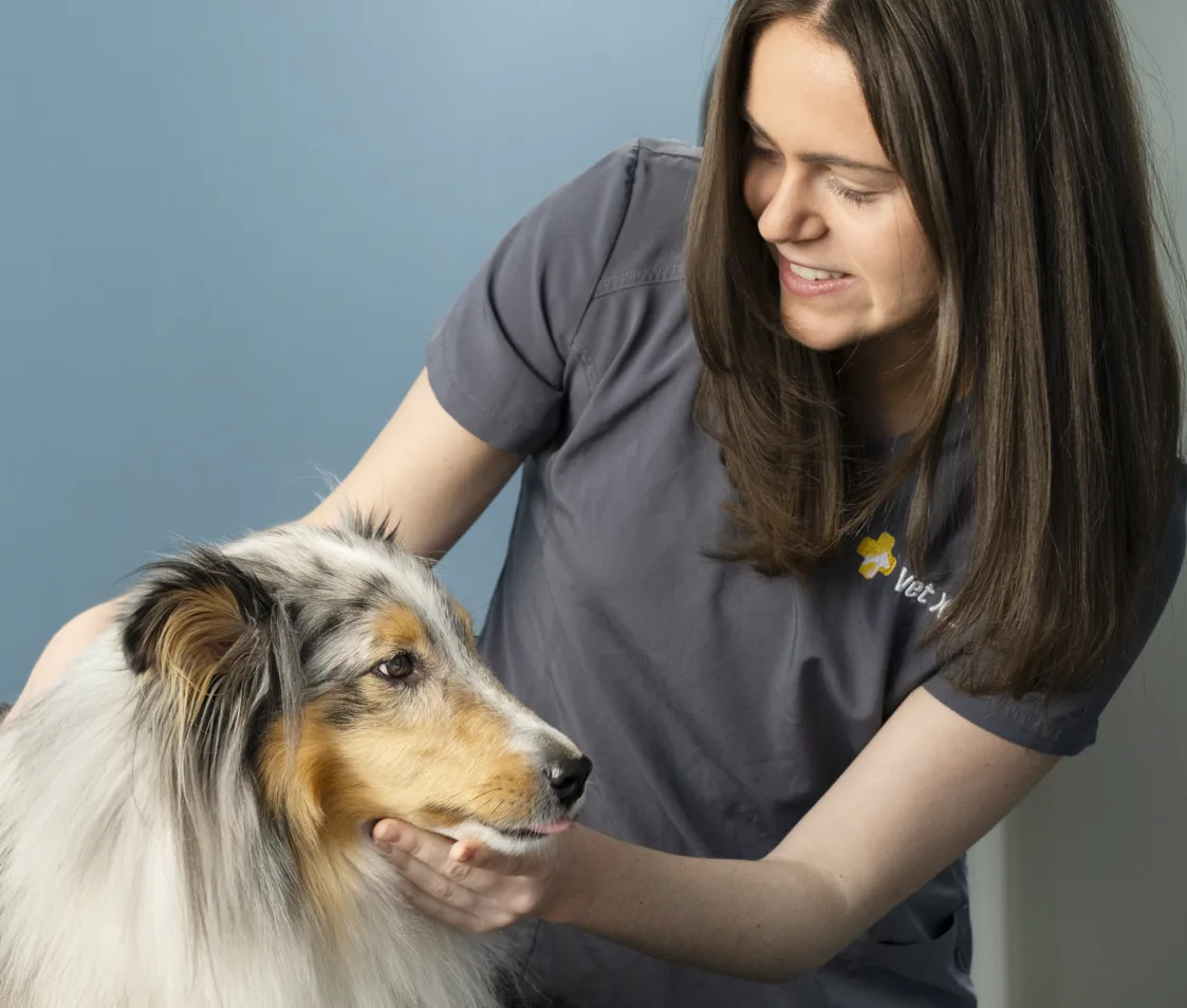 VetXL Vestby – bilde 2